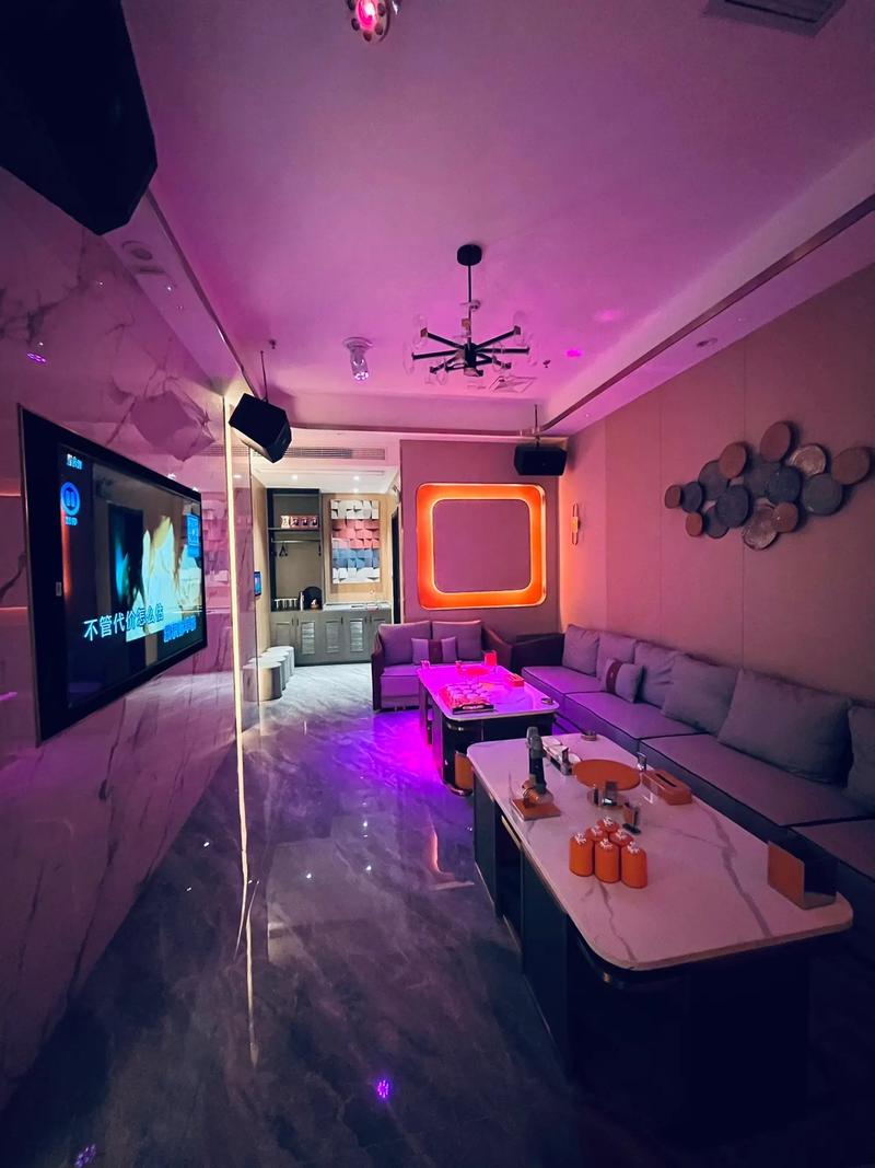 温州商务ktv及商务ktv啥意思解析-苍南县ktv预订